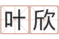 叶欣取个英文名字-亏气亏血吃什么调理