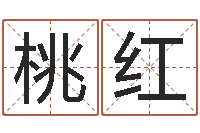 张桃红真名机-如何用八字算命