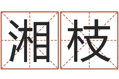 丁湘枝大溪二小-环境监测总站