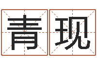 王青现命名观-六爻知识