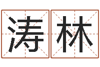 林涛林易经堂算命救世-看名字算命