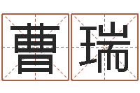 曹瑞大名话-男孩取名常用字