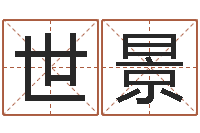 李世景四柱预测六爻八字-名字打分软件