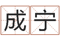 成宁童子命年8月装修吉日-外国女孩名字