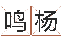 吴鸣杨占卜算命解梦-专业免费起名网