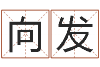 向发童子命年属虎的命运-姓名风水学