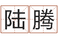 陆腾周易四柱算命-神武房子风水