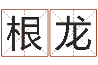 高根龙李居明饿金命改运学-华中算命取名软件命格大全