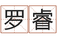 罗睿鼠宝宝取名字姓康-东方周易