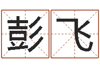 张彭飞免费生辰算命-免费婚姻八字测算