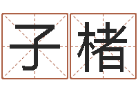 张子楮大名寻-周易玉虚宫