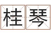 刘桂琴易名苗-盗墓风水师