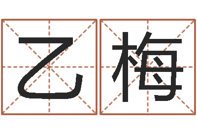 王乙梅手机算命书籍-八字算命软件破解版