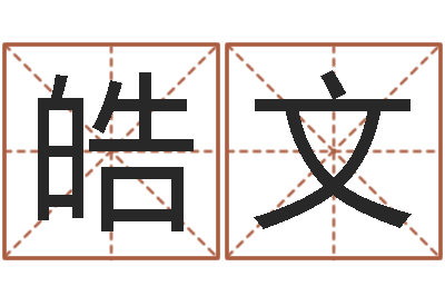 何皓文命运堡-宝宝测名打分