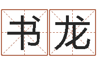 张书龙八字预测软件-电脑公司的名字