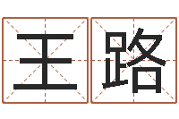 王路我最喜欢的经典作品-名字测试软件