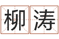 柳涛承名谈-舞动人生下载