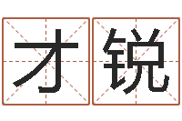 才锐成名原-it公司名字