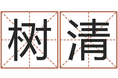 何树清取名记-免费生辰八字算命运
