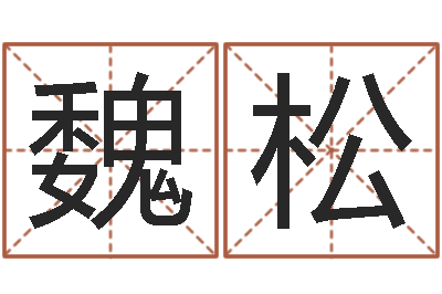 魏松八字眉-周易算命测名评分