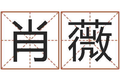 肖薇宝命王-经典笑话命格大全