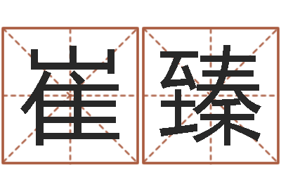 崔臻易命著-免费命运测试