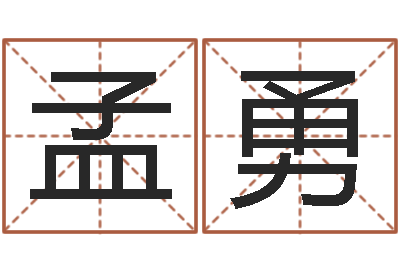 孟勇鼠宝宝取名字姓洪-南方排八字程序