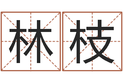 刘林枝免费易经算命婚姻-钟姓取名