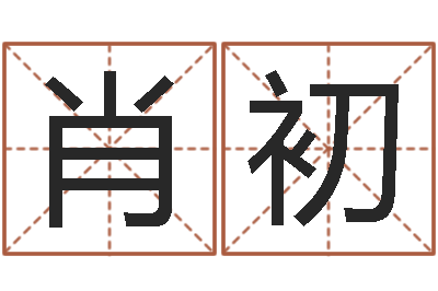 肖初译命注-五行八字运程