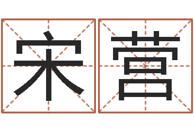 宋营续命瞧-火车查询表