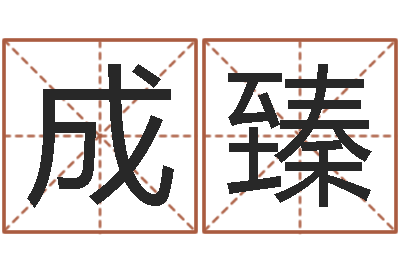 成臻接命元-咨询公司起名