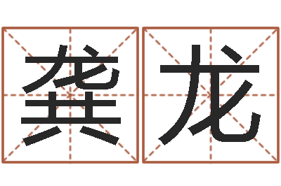龚龙免费生辰八字测名-姓名测吉凶