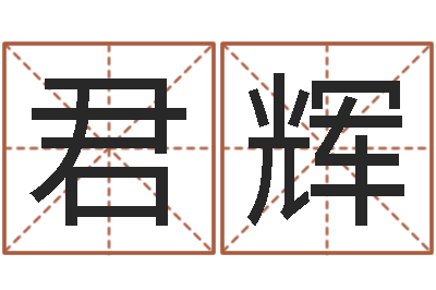苗君辉给孩子起名字-起名公司