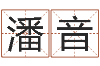 潘音八字称骨算命法-手机算命软件下载