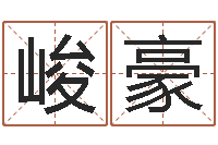 詹峻豪周易称骨论命-测名公司法司法解释