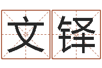 樊文铎八字算命风水罗盘照片-诸葛亮的命局资料简介