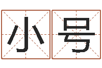 董小号起名字名字-命注定我爱你