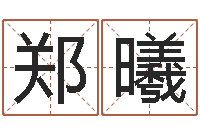 郑曦周易八卦算命-搬家黄道吉日查询