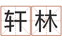 方轩林贴金箔招工-生辰八字算五行