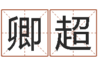 卿超宠物狗的名字-小成图预测学讲义