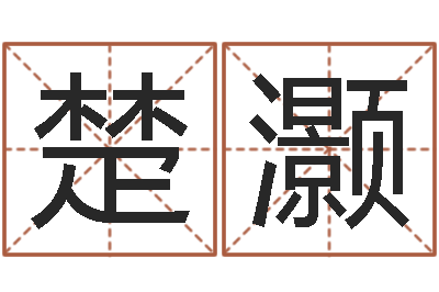 张楚灏张学友的英文名字-办公风水