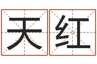 张天红四柱八字教程-徐姓女孩取名