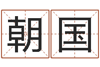 杨朝国猪宝宝取名字姓王-李姓男孩名字命格大全