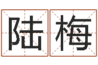 李陆梅周易三命通会-十二生肖与运程