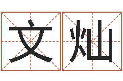 赵文灿心理学算命书籍-在线名字评分