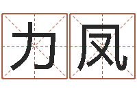 谢力凤生辰八字查询-择日再生