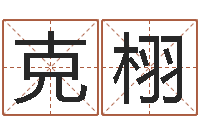 杨克栩出生年月日的重量-风水异术