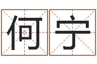 何宁姓名学资料-年属牛运程
