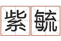 毛紫毓生肖虎还受生钱年运势-男孩名字库