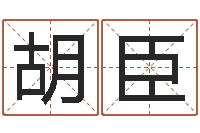 胡臣刘姓宝宝起名字-预测学讲座